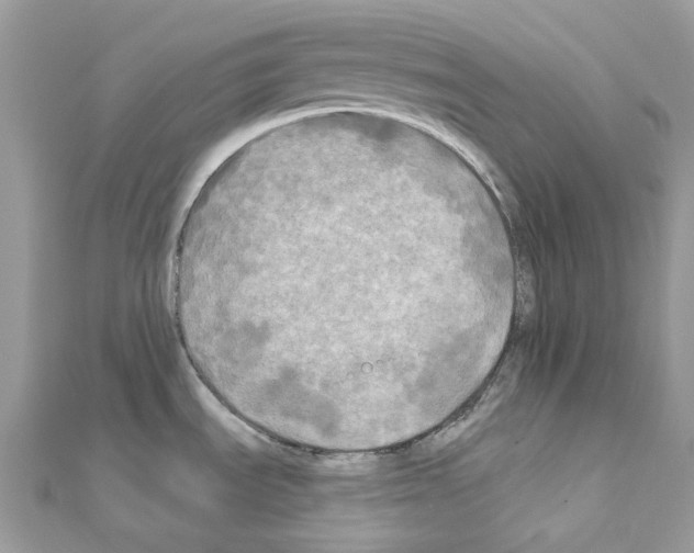X0000111241535200908131133