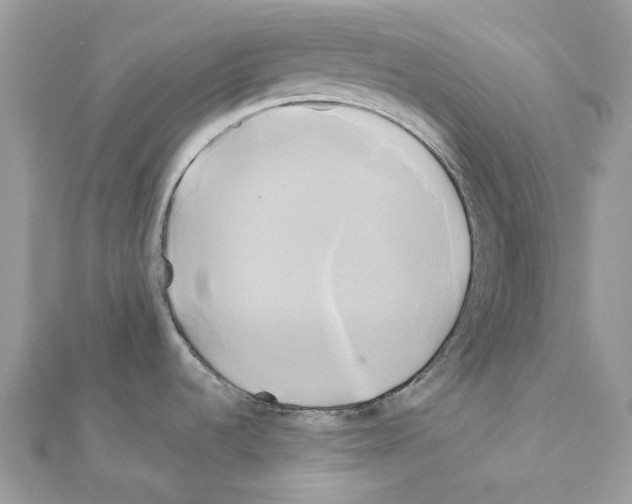 X0000111241536200908131133