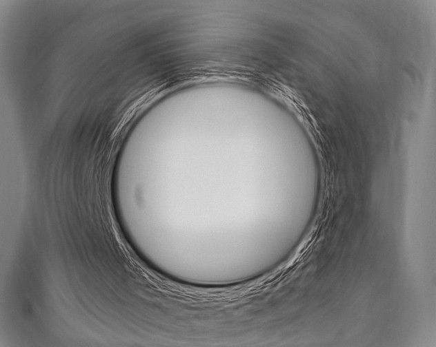 X0000111250001200907021029