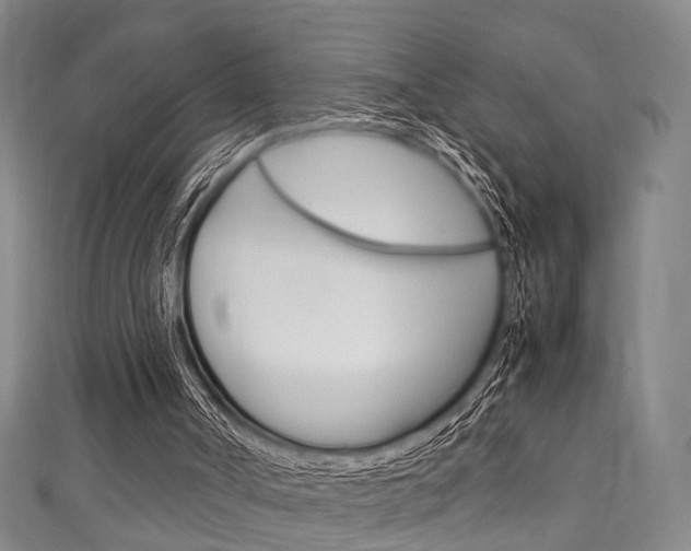 X0000111250002200907021029