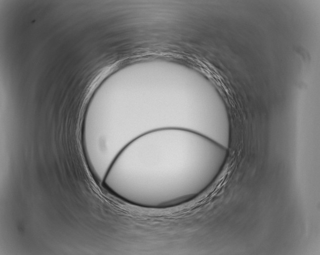X0000111250003200907021029