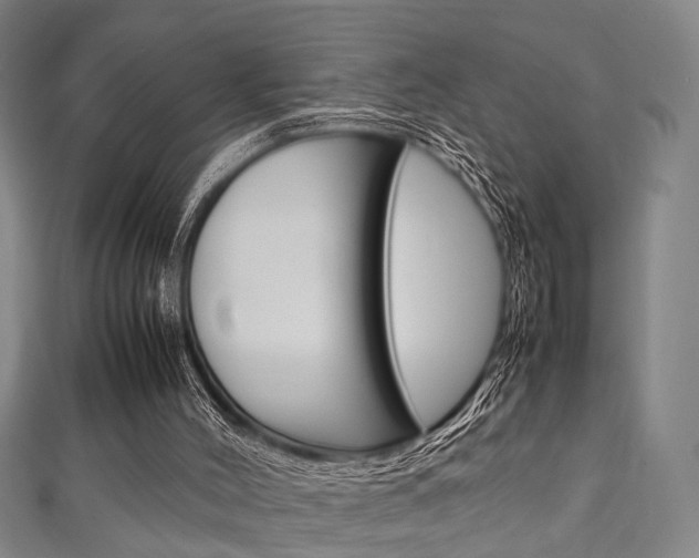 X0000111250004200907021029