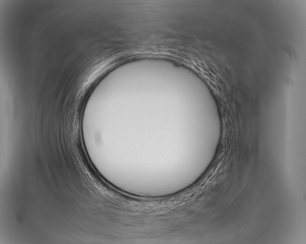 X0000111250005200907021029