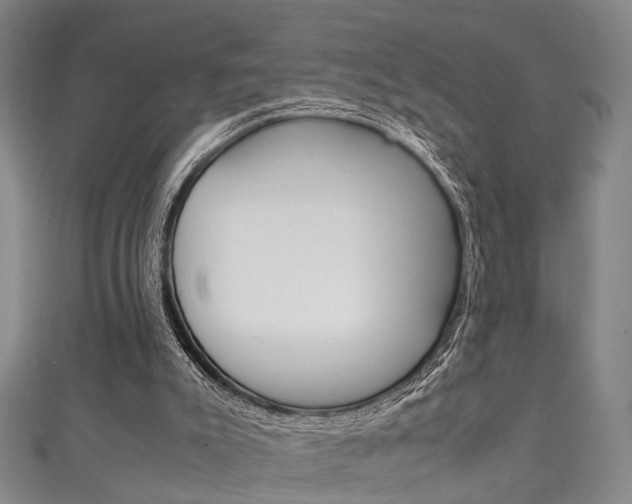 X0000111250007200907021029