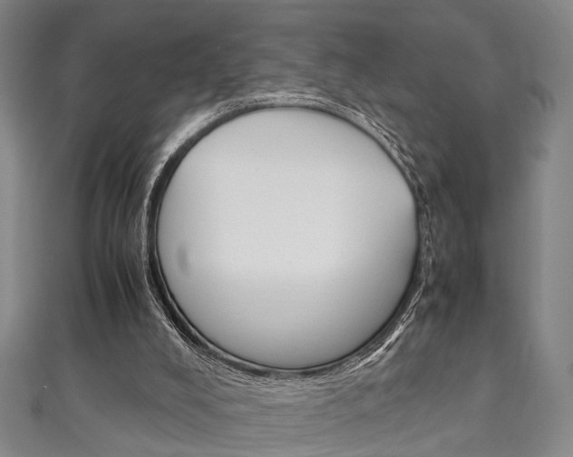 X0000111250008200907021029