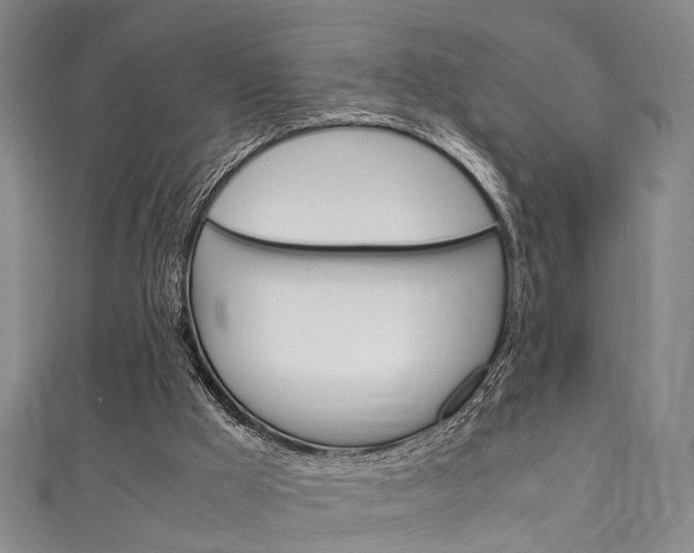 X0000111250009200907021029