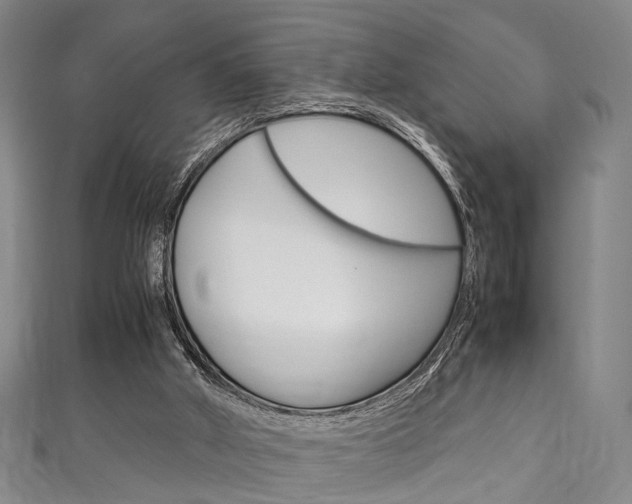 X0000111250010200907021029