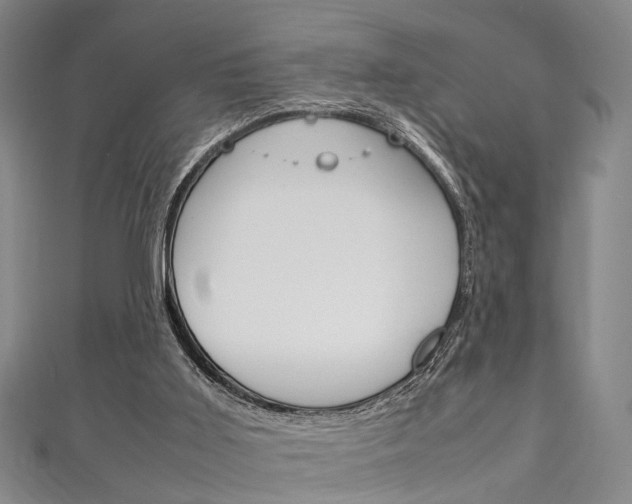 X0000111250011200907021029