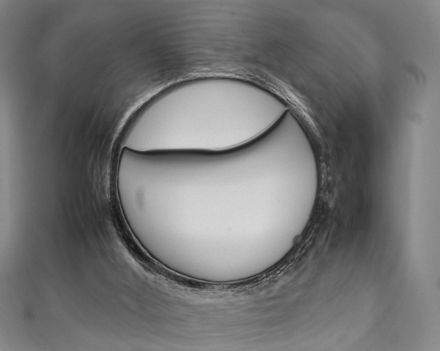 X0000111250012200907021029