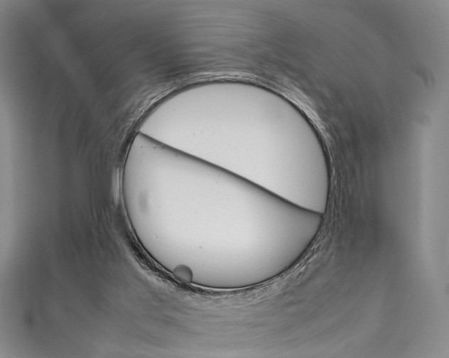 X0000111250013200907021029