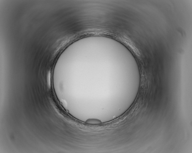 X0000111250014200907021029