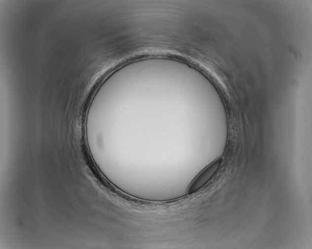 X0000111250015200907021029