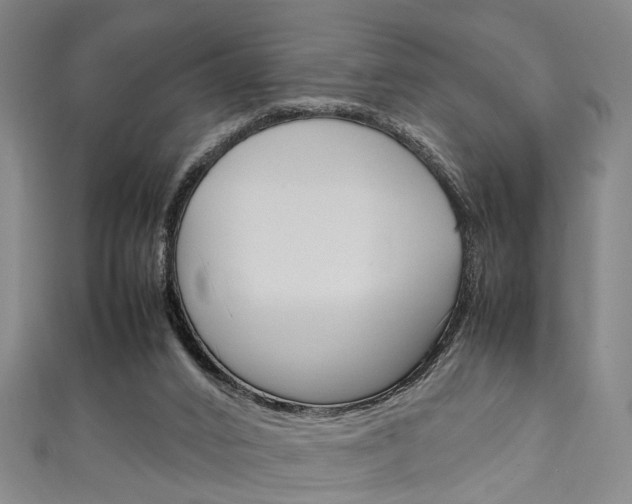 X0000111250016200907021029