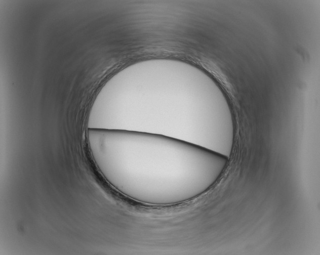 X0000111250021200907021029