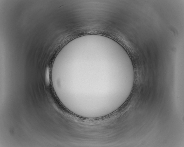 X0000111250022200907021029