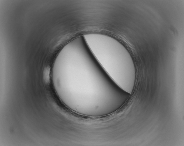 X0000111250024200907021029