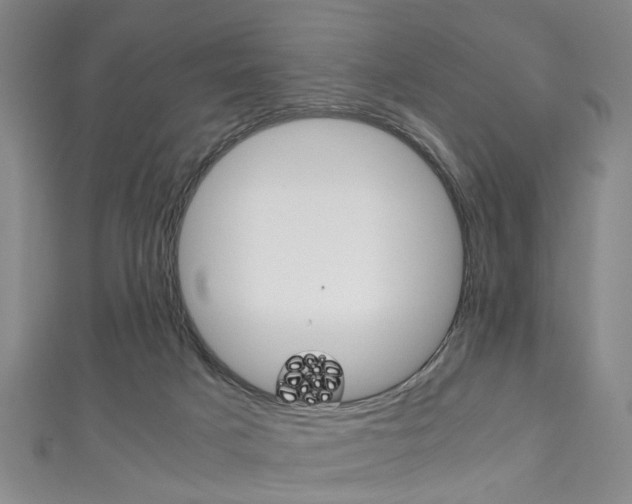 X0000111250025200907021029