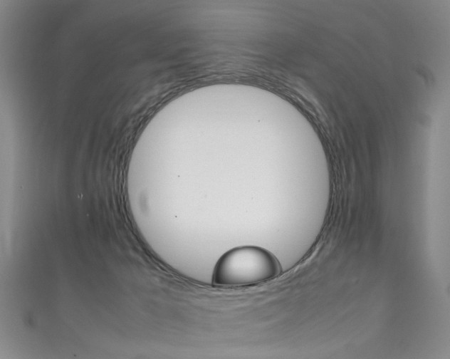 X0000111250029200907021029