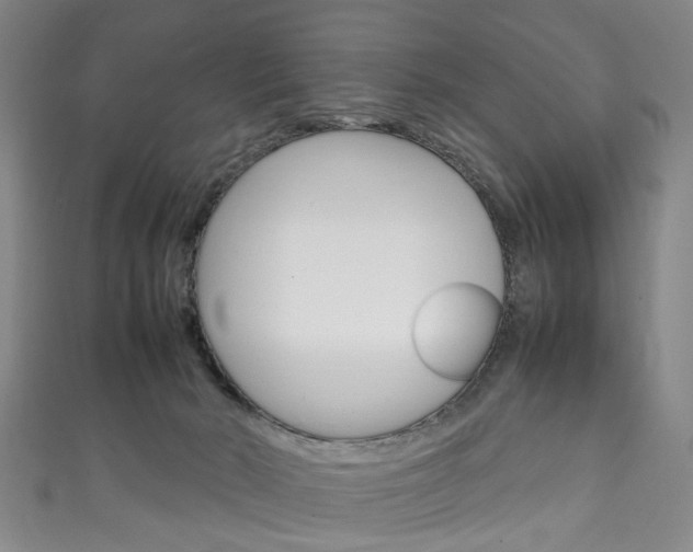 X0000111250030200907021029