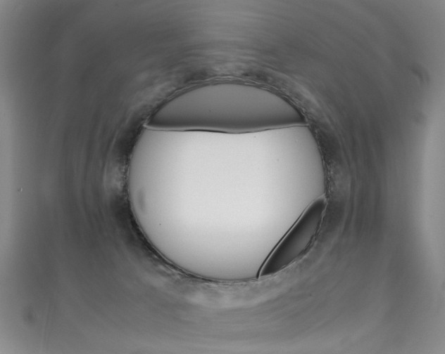 X0000111250033200907021028