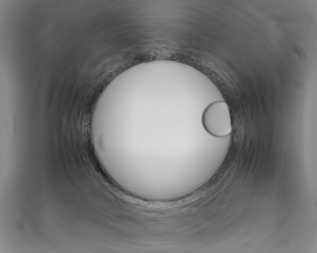 X0000111250034200907021028