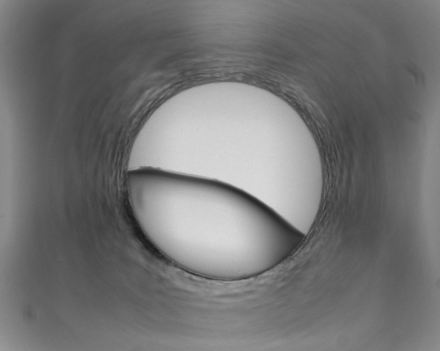 X0000111250035200907021028