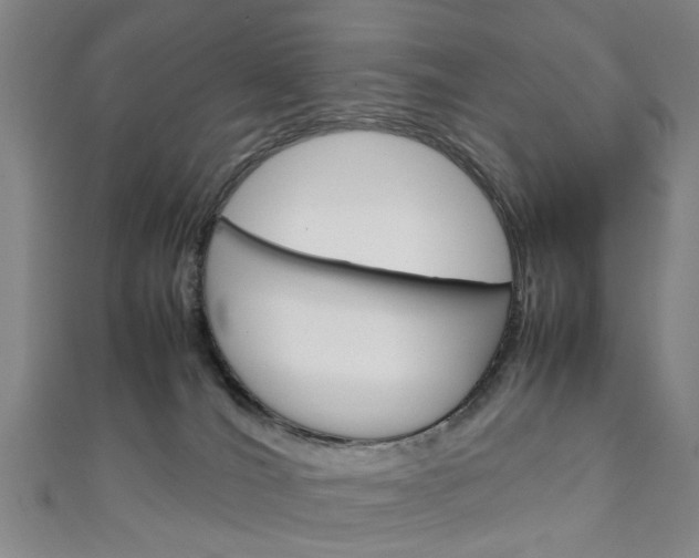 X0000111250036200907021028