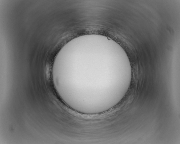 X0000111250038200907021028