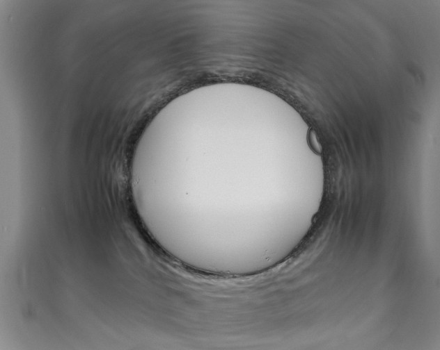 X0000111250040200907021028