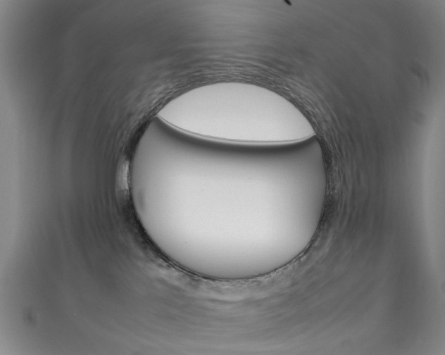 X0000111250041200907021028