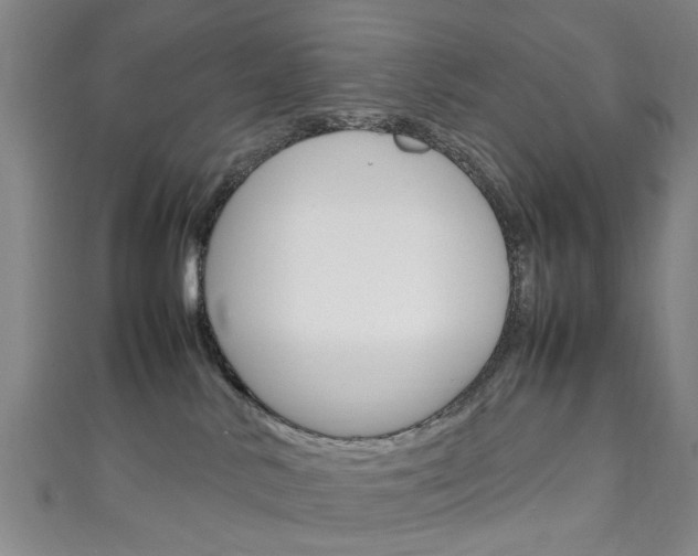 X0000111250042200907021028