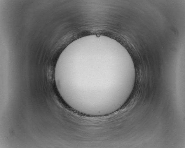 X0000111250044200907021028
