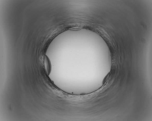 X0000111250045200907021028