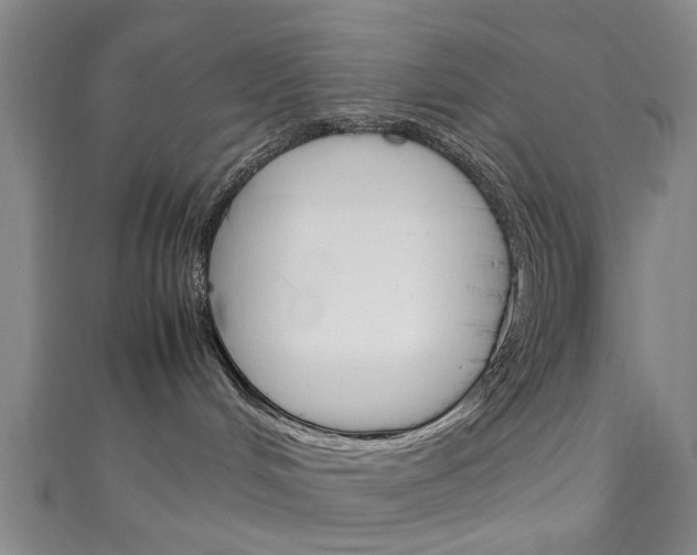 X0000111250048200907021028