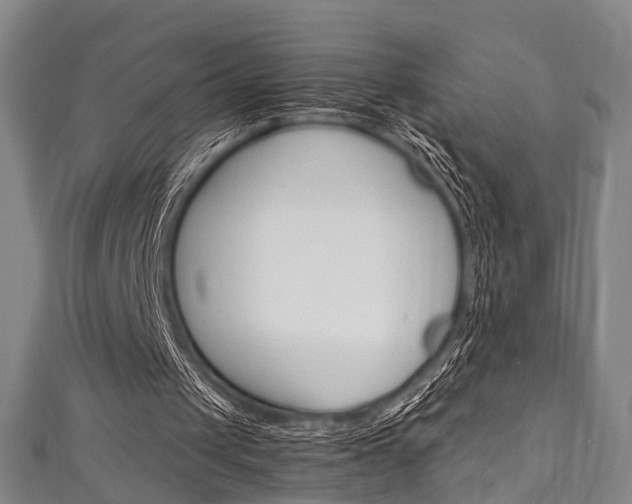 X0000111250049200907021028
