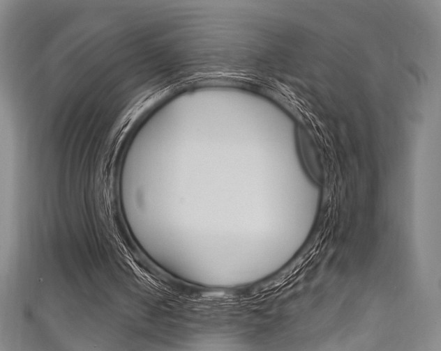 X0000111250050200907021028