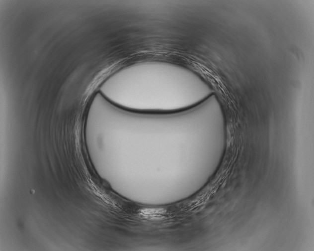 X0000111250051200907021028