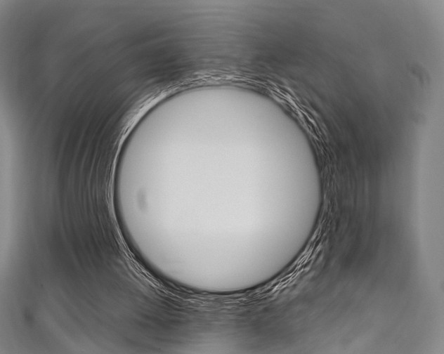 X0000111250052200907021028