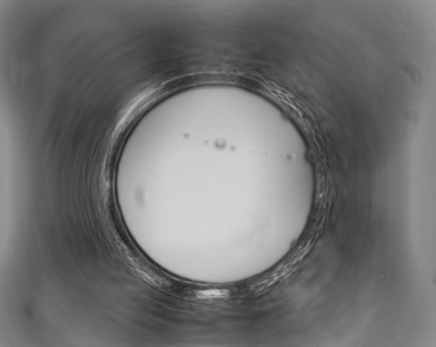 X0000111250053200907021028