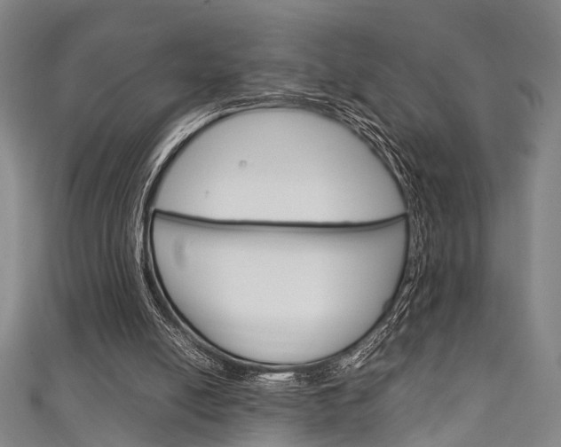 X0000111250054200907021028