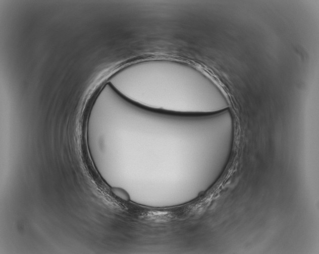 X0000111250055200907021028