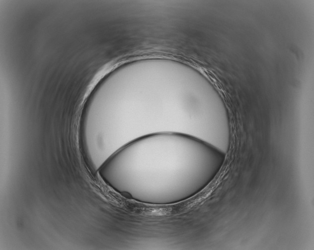 X0000111250056200907021028