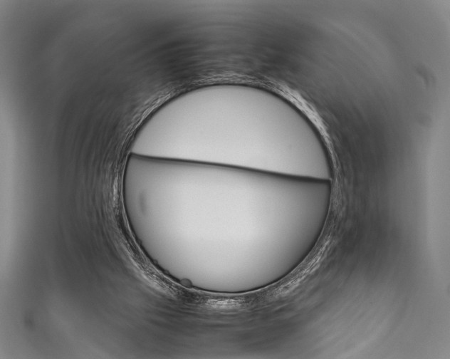 X0000111250057200907021028