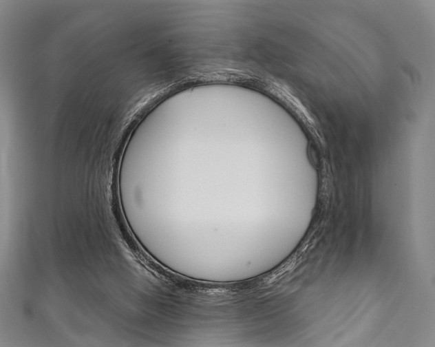 X0000111250058200907021028
