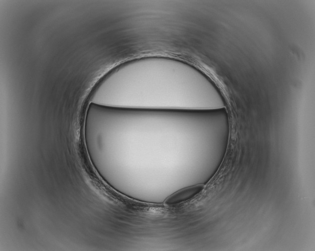 X0000111250060200907021028