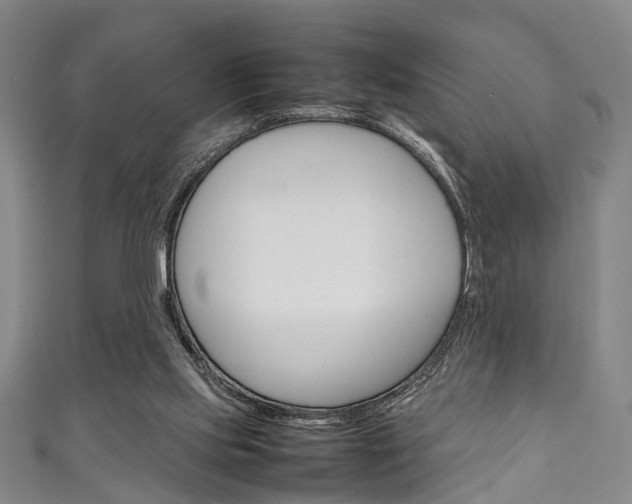 X0000111250061200907021028
