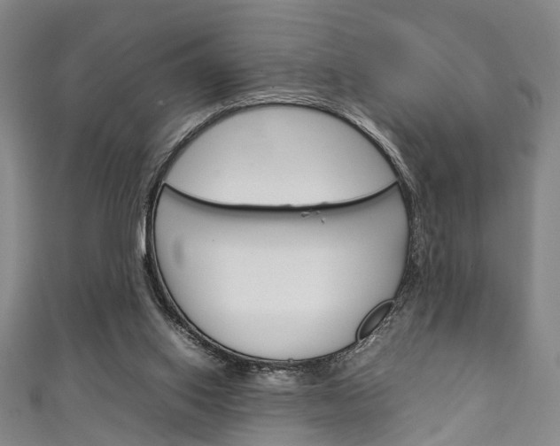 X0000111250062200907021028