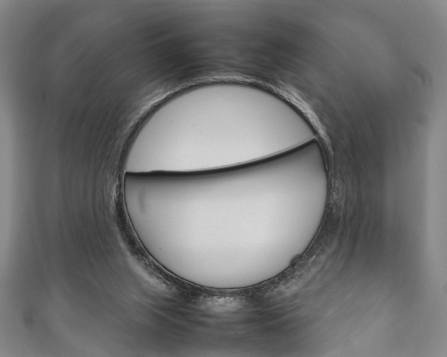 X0000111250063200907021028