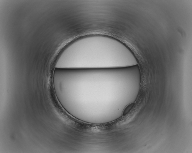 X0000111250064200907021028