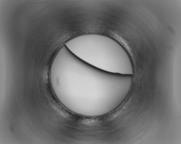 X0000111250065200907021028